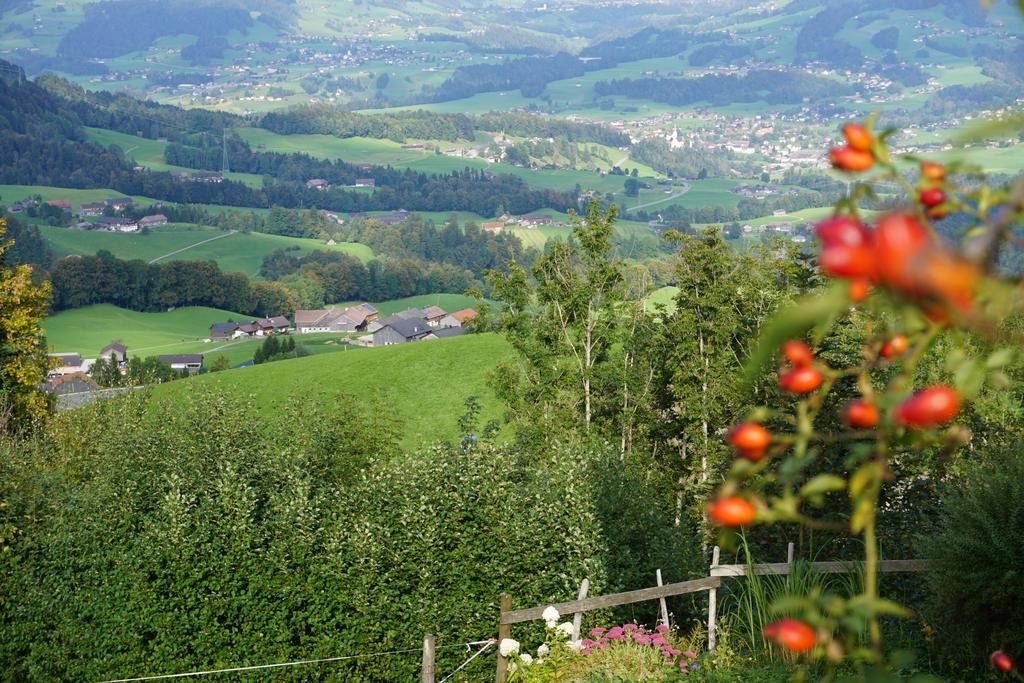 Ferienwohnungen Im Blockhaus Metzler Schwarzenberg im Bregenzerwald Exterior foto